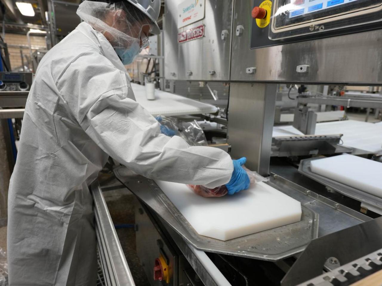 Food processing employee in white lab coat and blue gloves handles meat for packaging on a steel piece of equipment made for food packaging