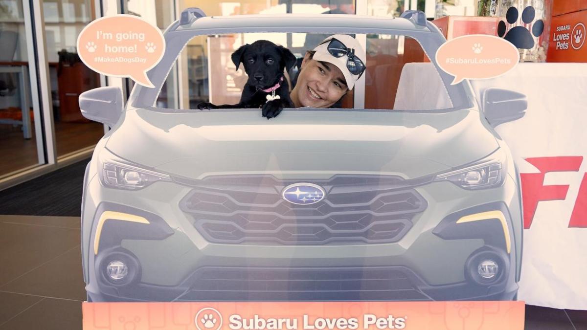 Person and puppy behind a cardboard cutout of a car with "Subaru Loves Pets" at the bottom