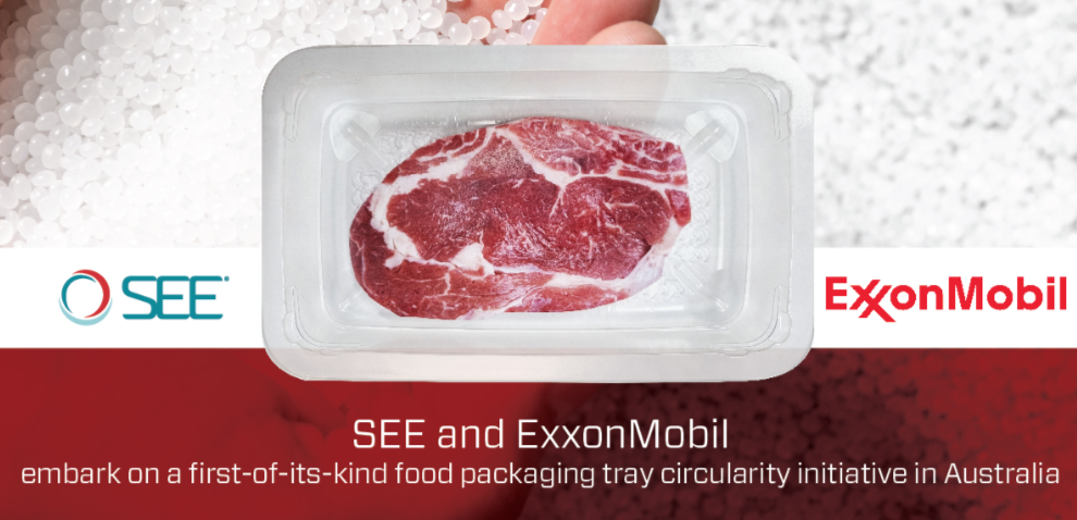 Fresh red meat in a packaged tray atop a background of white plastic resin