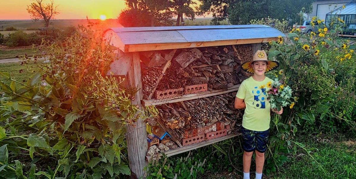 Boy standing next to large insect hotel as the sun sets in the background