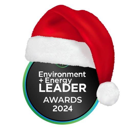 Festive E+E Leader Awards 2024 Badge