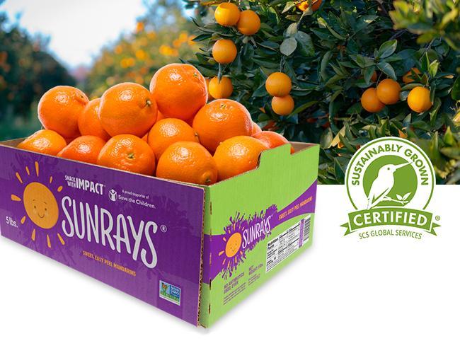Jac. Vandenberg Announces First Certified Sustainably Grown® SUNRAYS® Mandarins Shipping to U.S. Markets