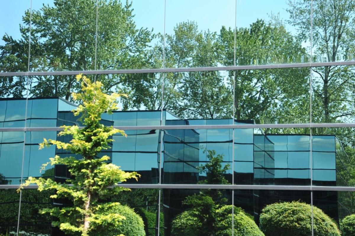Reflection of a building and trees