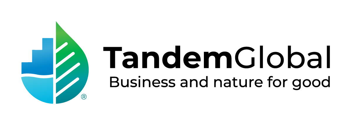 Tandem Global logo