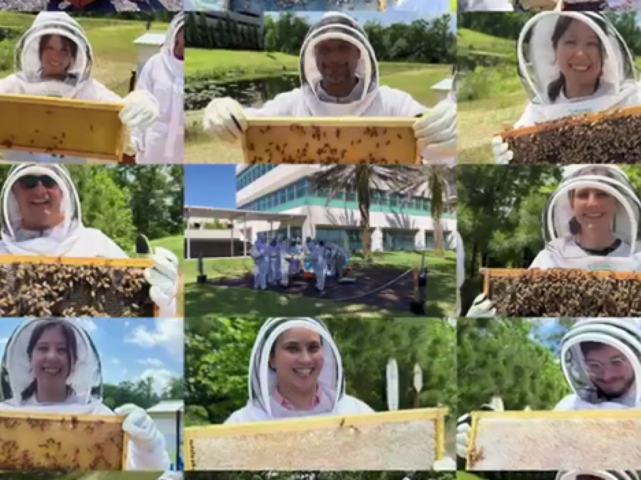 Collage of people posed in beekeeper suits, holding a honeycomb with bees on it.