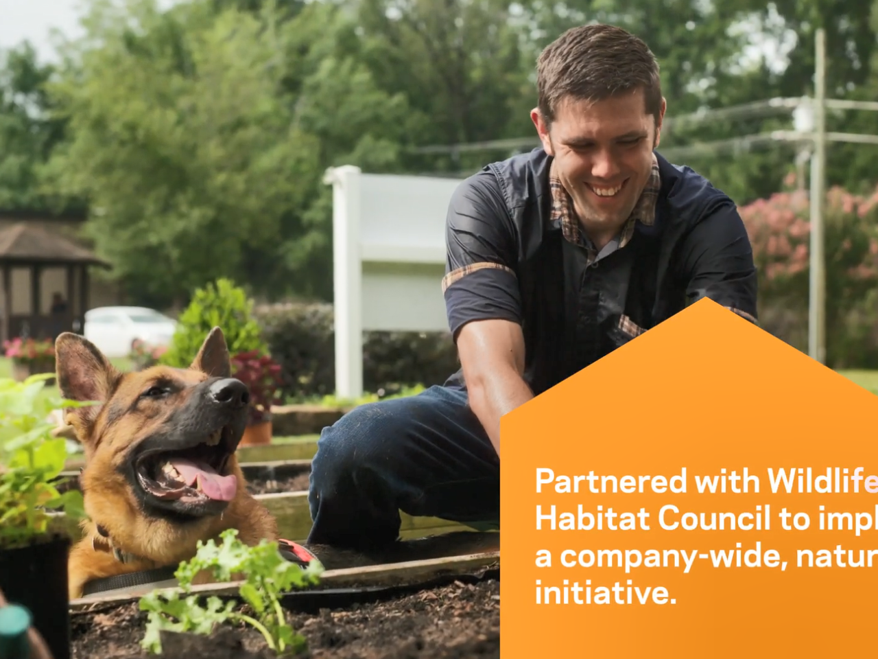 A smiling person diggin in a raised garden bed. A happy dog to the left supervising the progress.