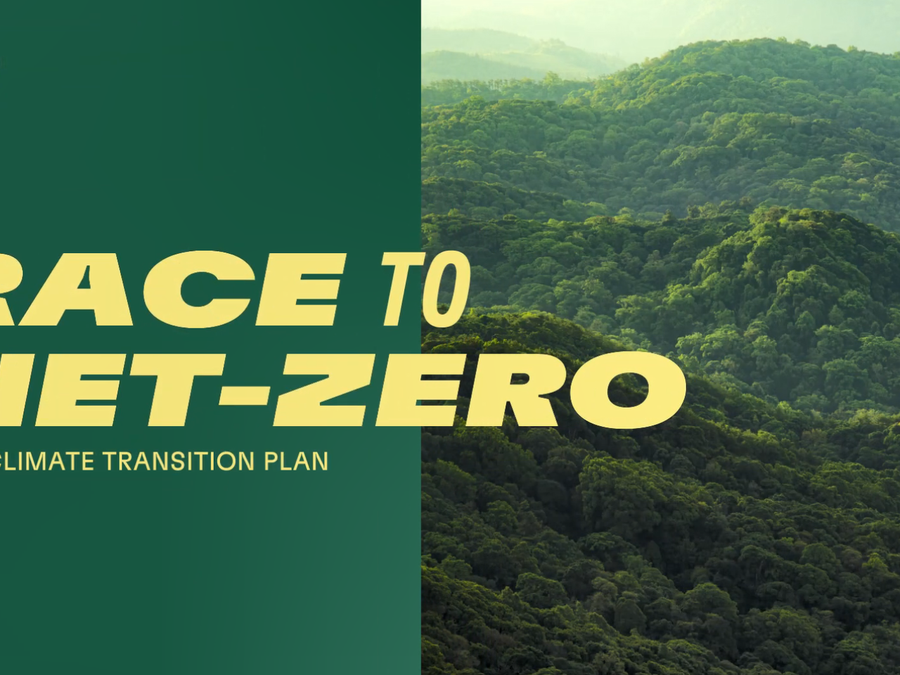 "Race to net-zero. Our climate transition plan." Over a green and forest canopy background.