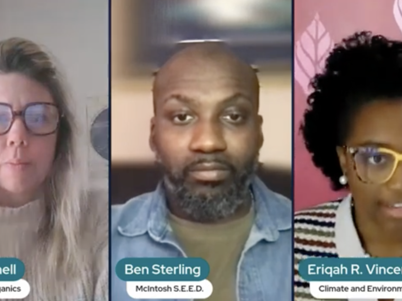 Meg Darnell, Ben Sterling, and Eriqah R. Vincent