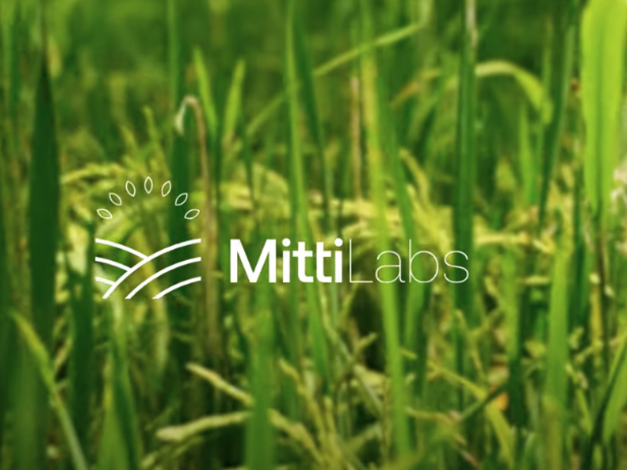 MittiLabs