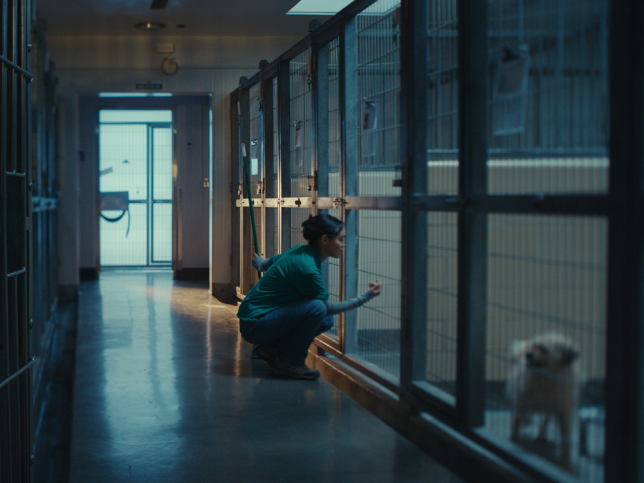 Person kneeling next to a dog kennel