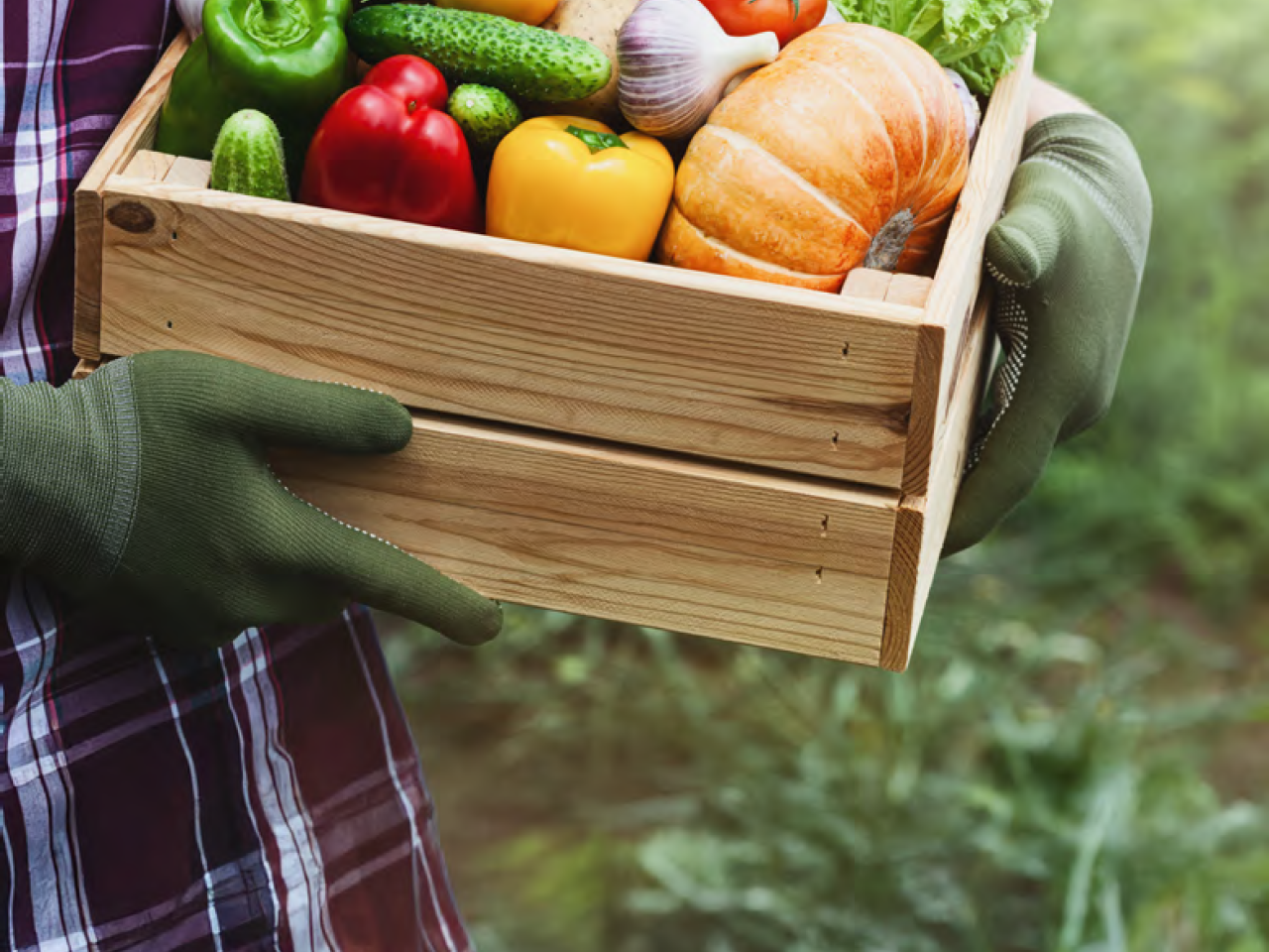 Person in a plaid shirt and gardening gloves holding a wooden container of various vegetables