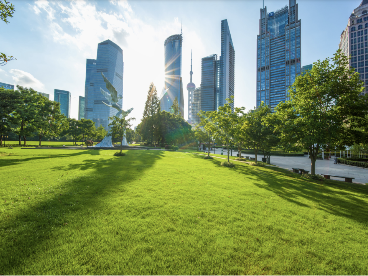 Sunny park surrounded by tall buildings