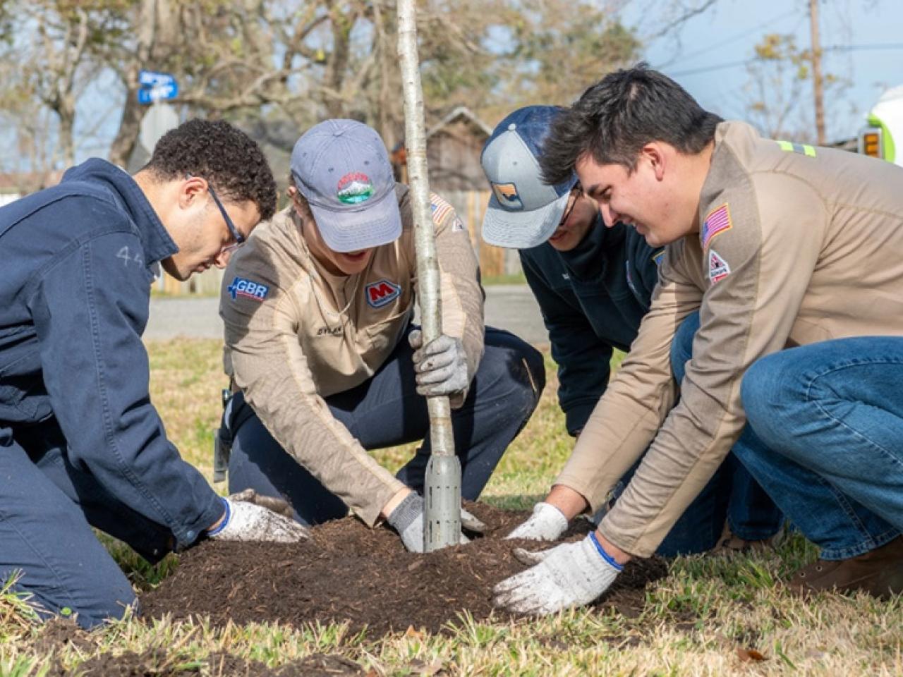 people planting a tree