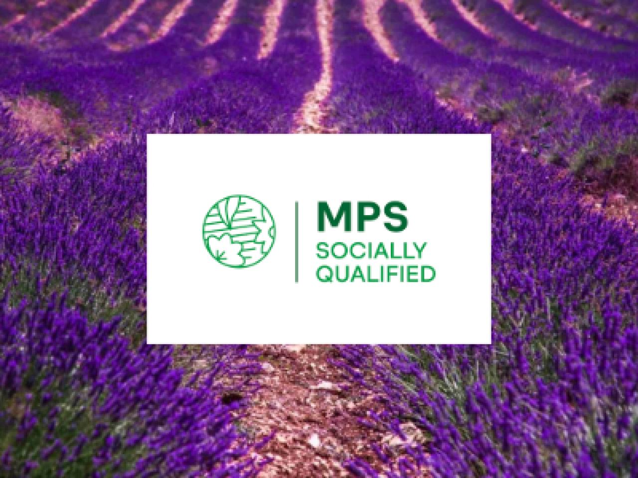 MPS logo with a background of lavender fields