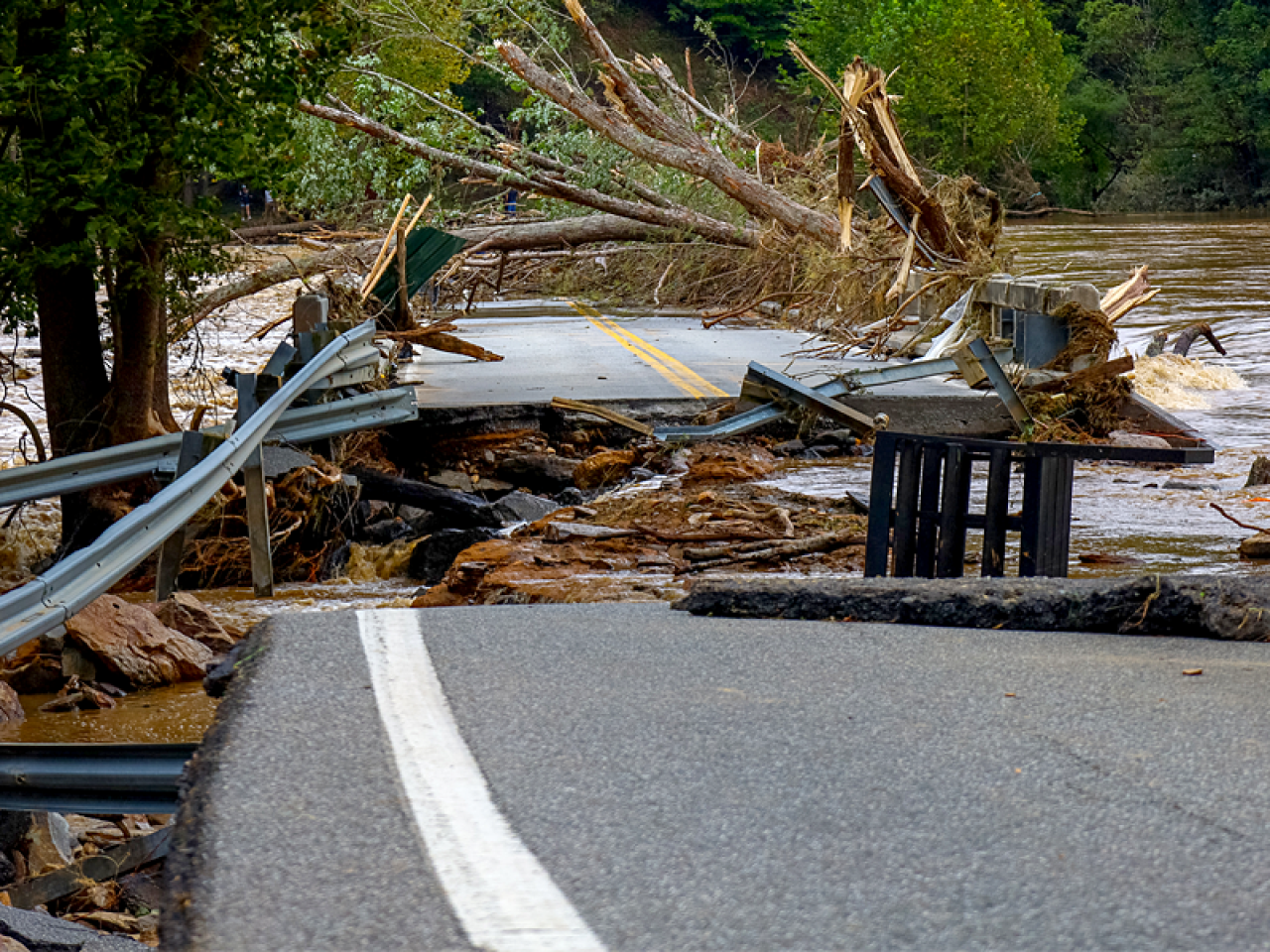 road with hurricane damage