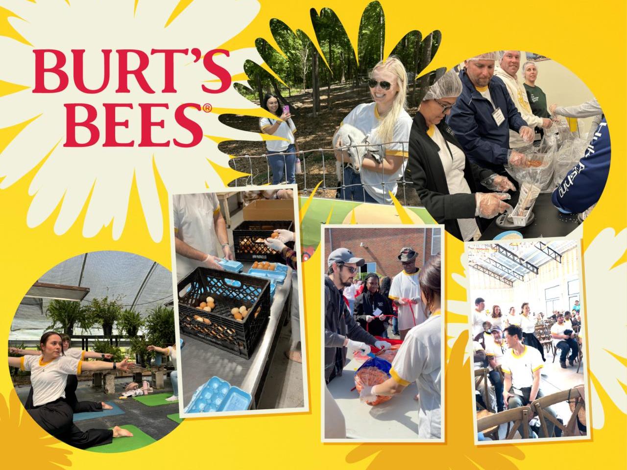 "Burt's Bees" and a collage of people doing volunteer work, yoga, and meeting together.