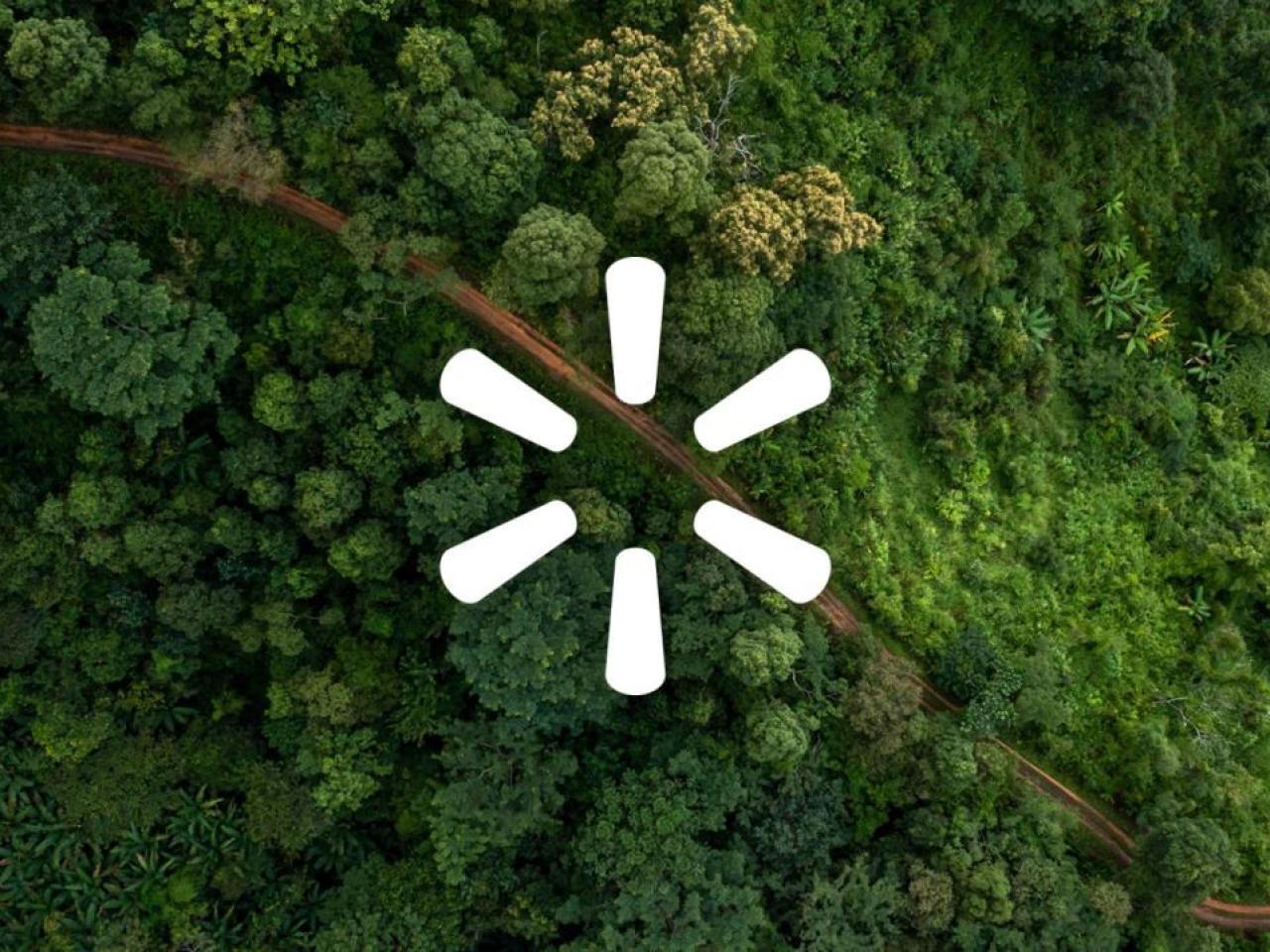 white Walmart logo on top of a forest background