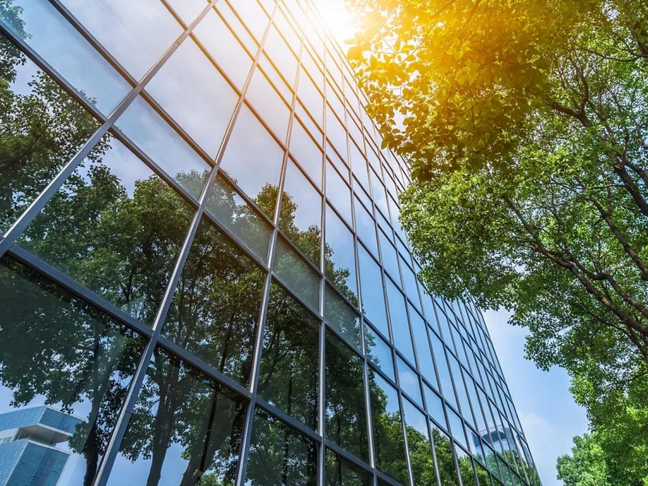 Close up of the side of a mirrored-building looking up to the sun. Trees on the right side.