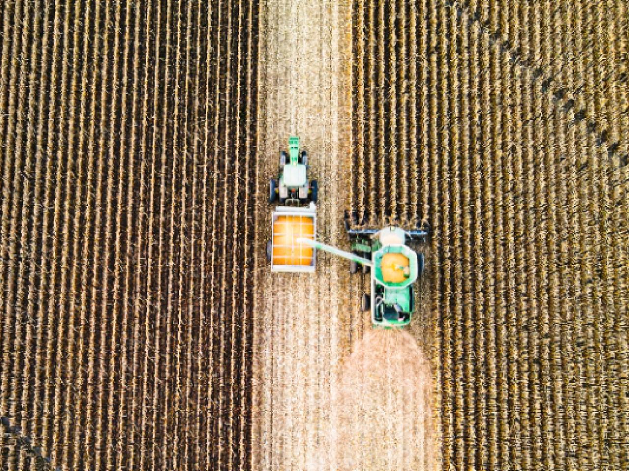 Aerial view of farm machinery gathering crops.