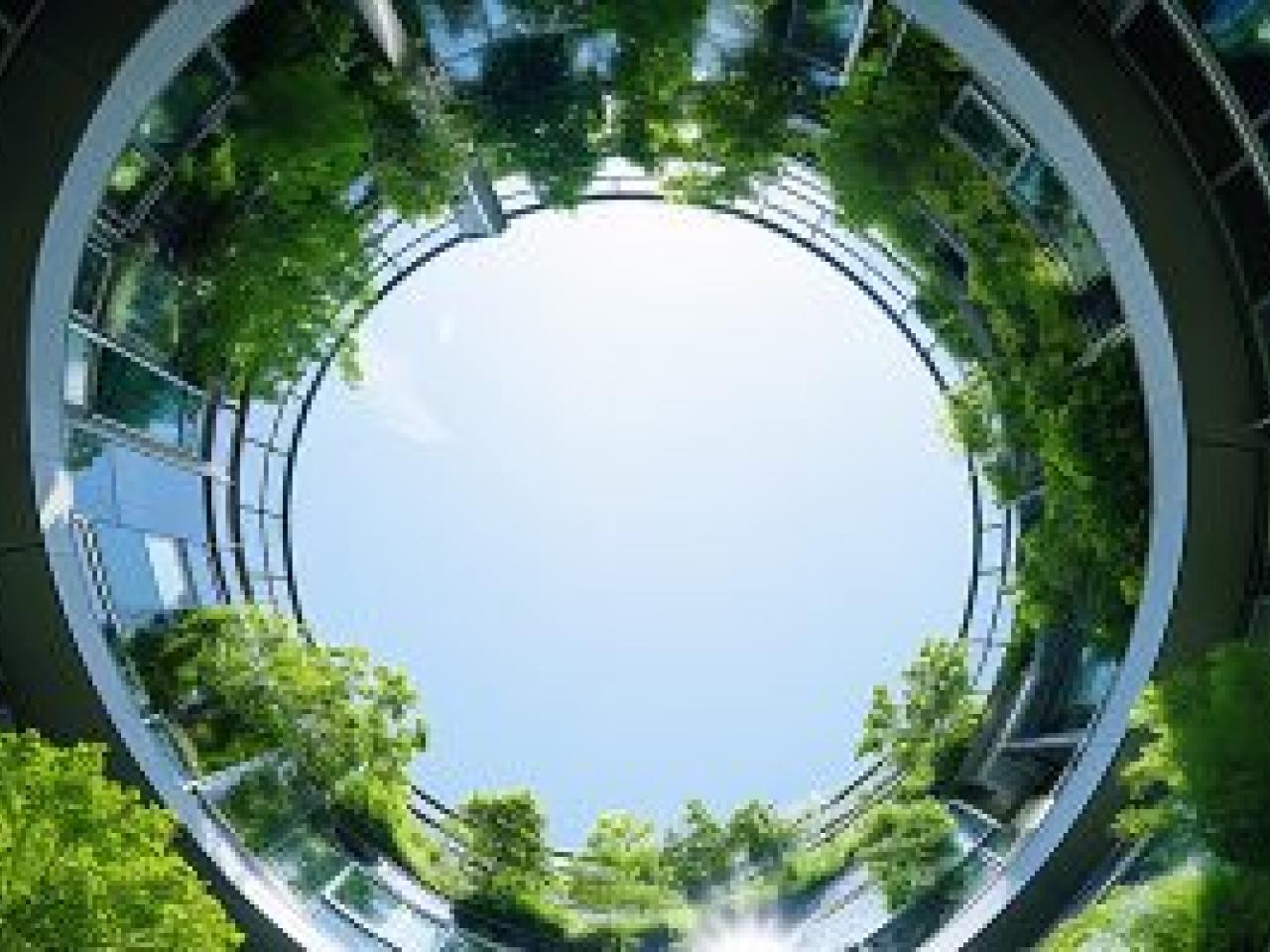 Sky-ward view through a tunnel of windows and greenery.