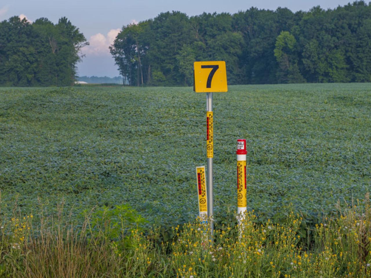 A pipeline marker in a large field.