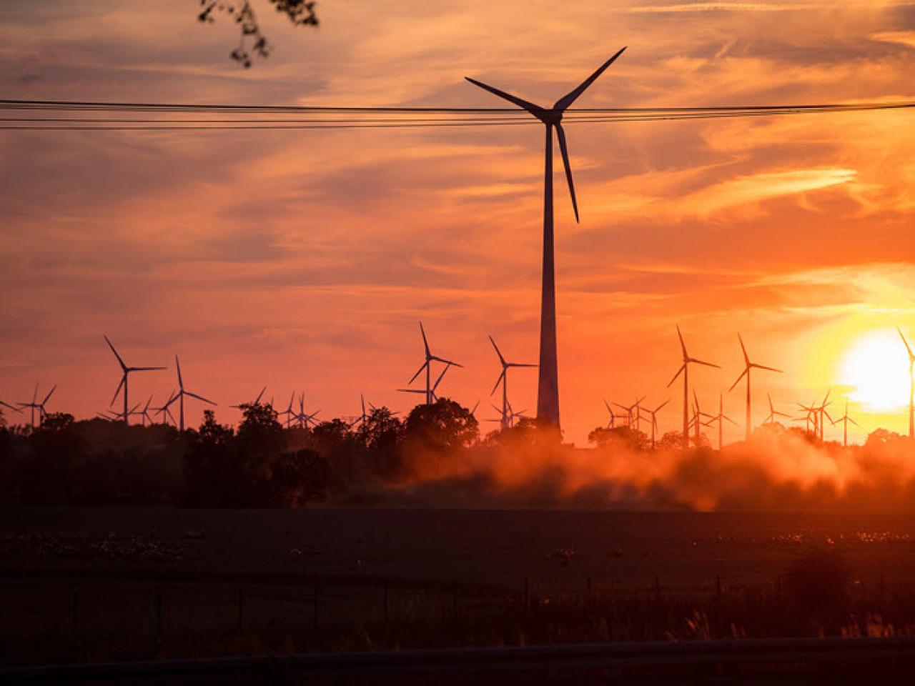 A sunsetting behind a large area with many wind turbines.