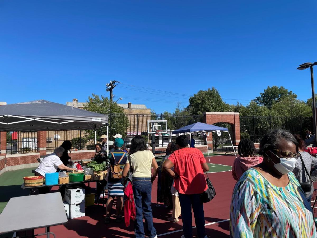 People shopping at a farmers market