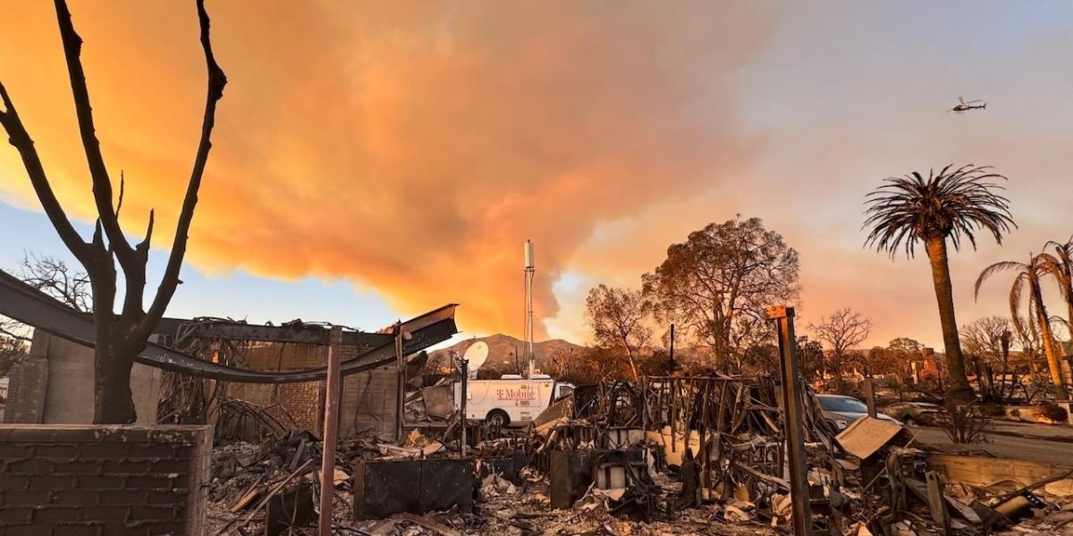 Burnt rubble and trees in front of a smoke-filled sky