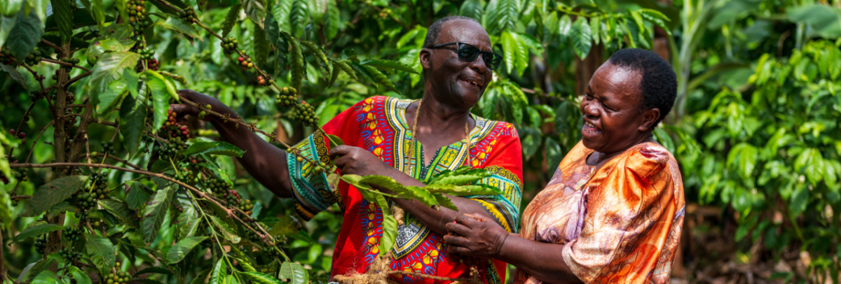 2 people laughing while picking from a tree