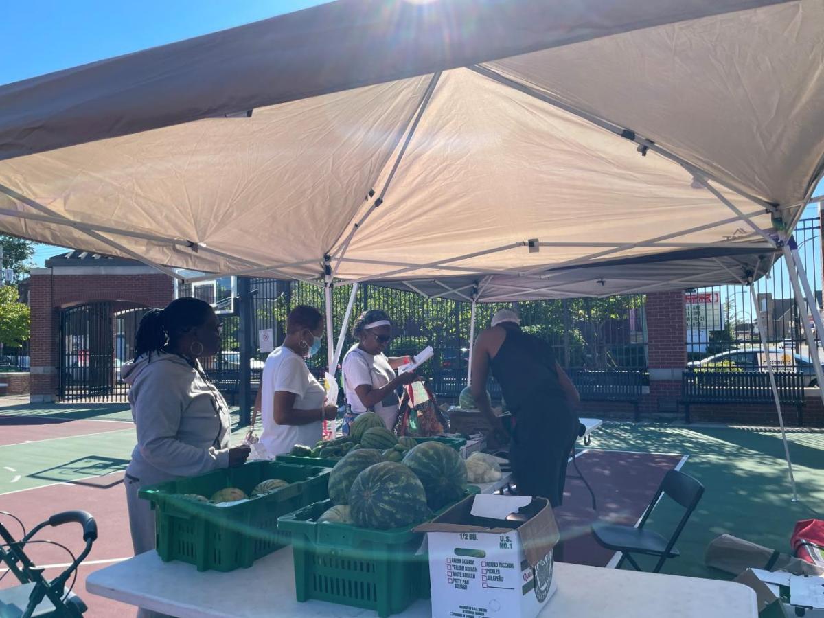 People under a canopy, shopping at a farmers market