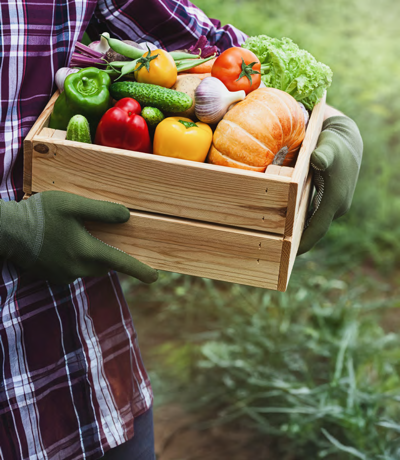 Person in a plaid shirt and gardening gloves holding a wooden container of various vegetables