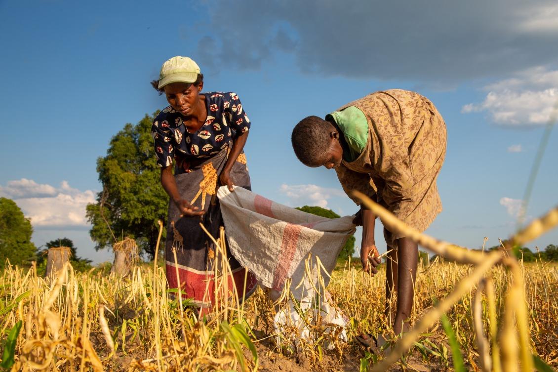 In Zambia, we developed climate-smart agriculture.