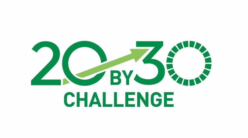 20 by 30 Challenge logo