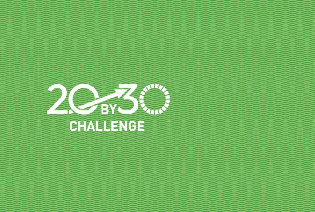 20by30 challenge over a green background.