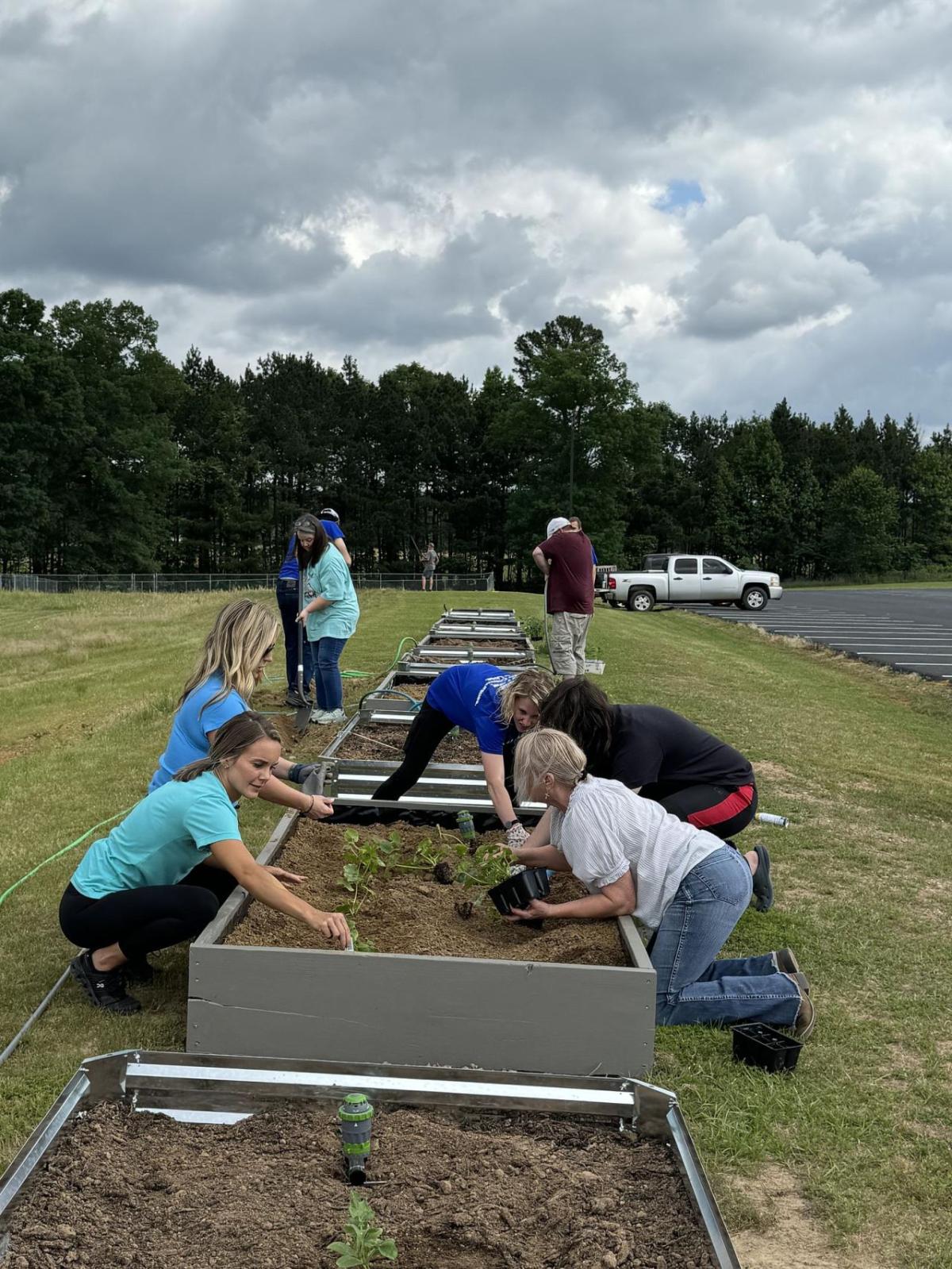 A team of people helping to build raised beds in a field for planting fruit and veg