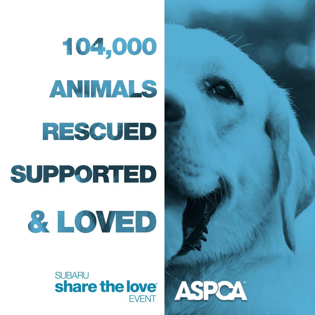 "104,000 ANIMALS RESCUED SUPPORTED & LOVED"