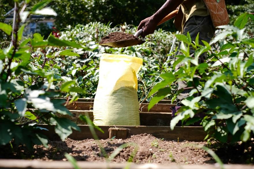 bag of compost in a garden