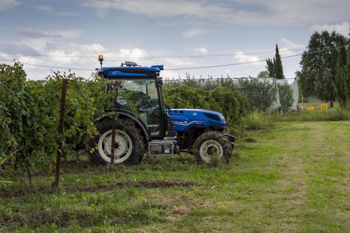 Blue tractor in field of grape vines