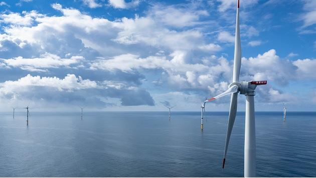 Offshore wind farm