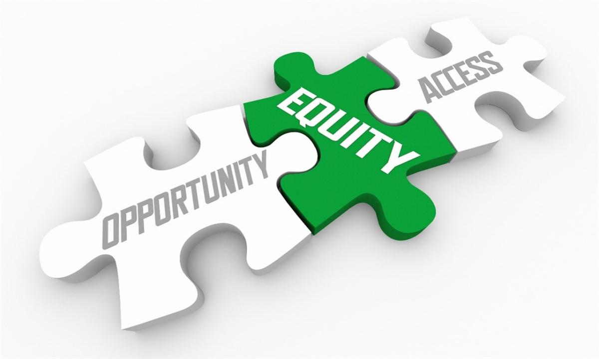 puzzle pieces with 'opportunity, equity, access' written