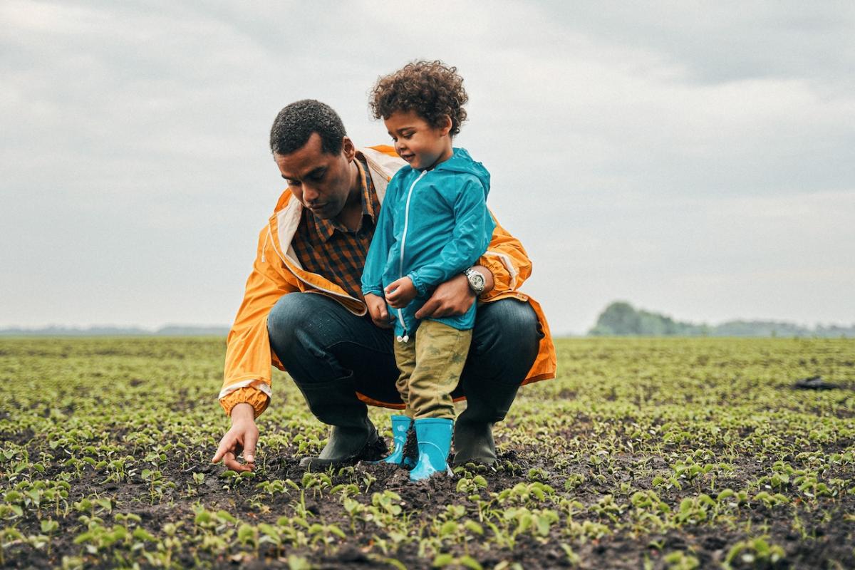 A father and son are shown looking at crops in a field.