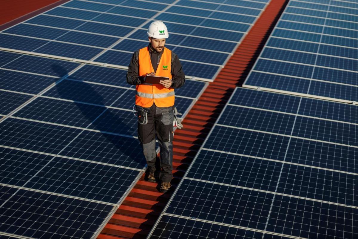 Wesco technician reviewing and inspecting a field of solar cells.