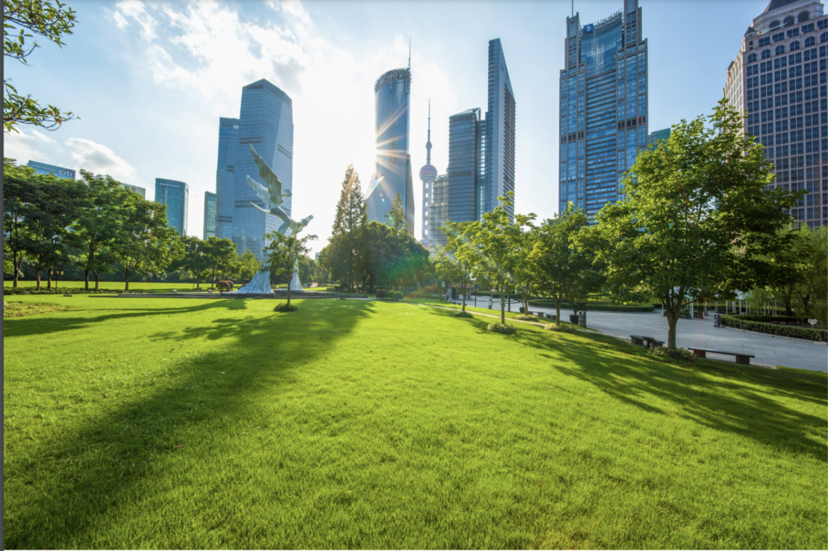 Sunny park surrounded by tall buildings