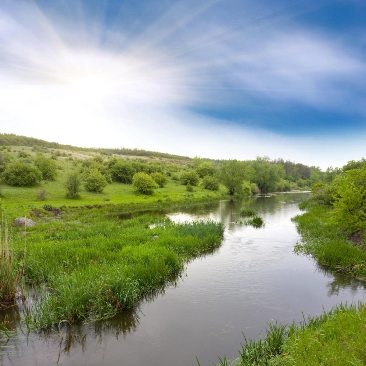 Wetland