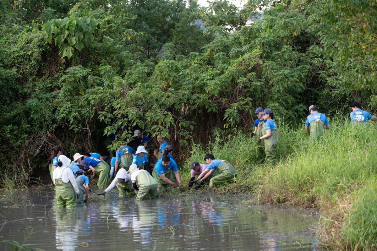 Elanco employees working in pond