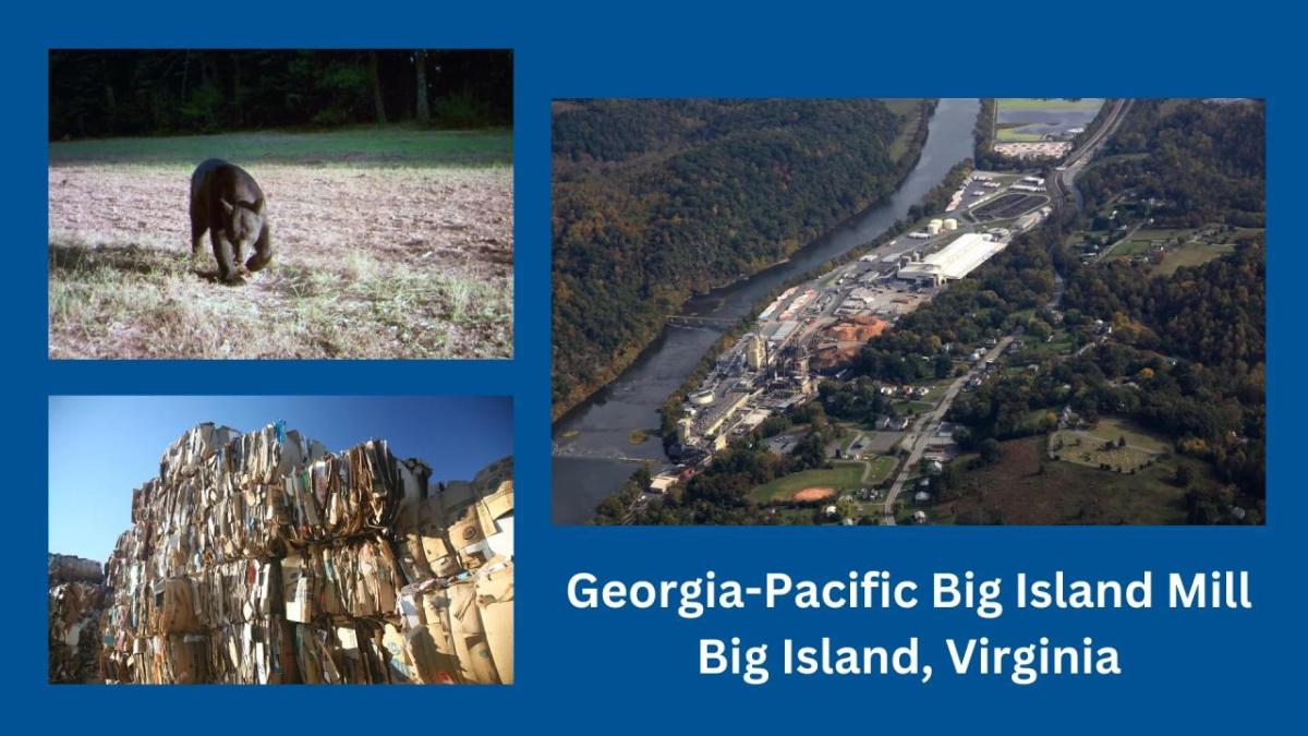 Georgia-Pacific Big Island Mill, Big Island, Virginia