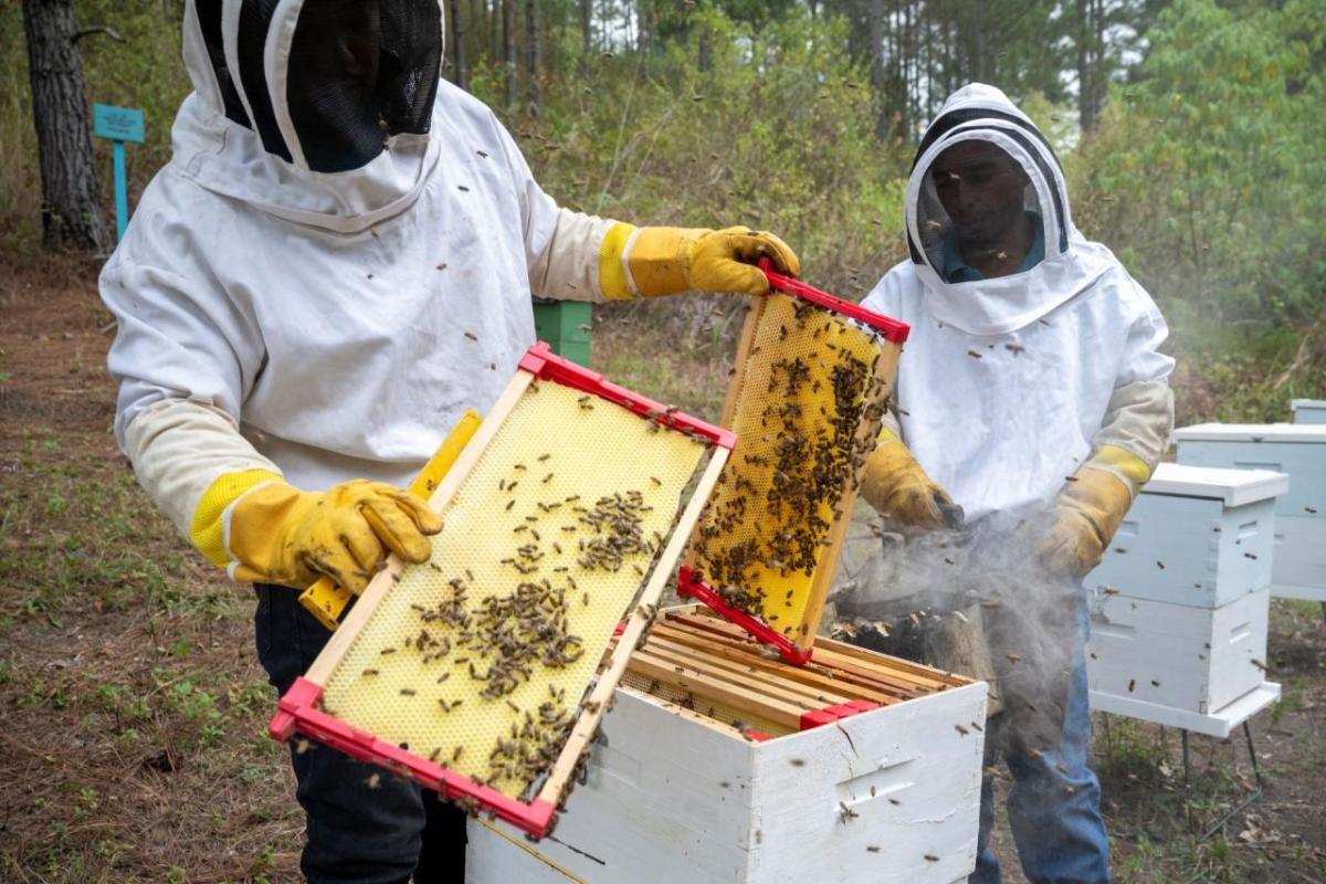 Two beekeepers in Trojes, Honduras work with Action Against Hunger on sustainable initiatives. 