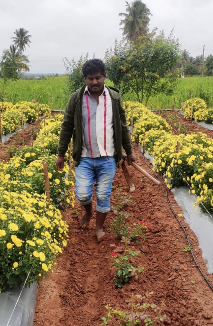 A person walking through a flower bed 