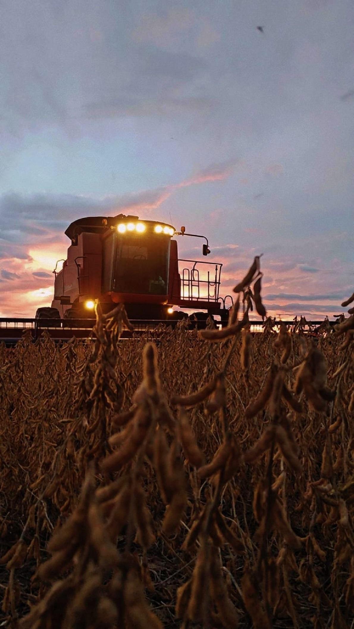 Tractor in field