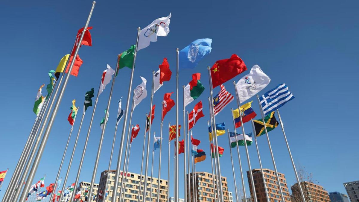 Many different national flags on high poles.